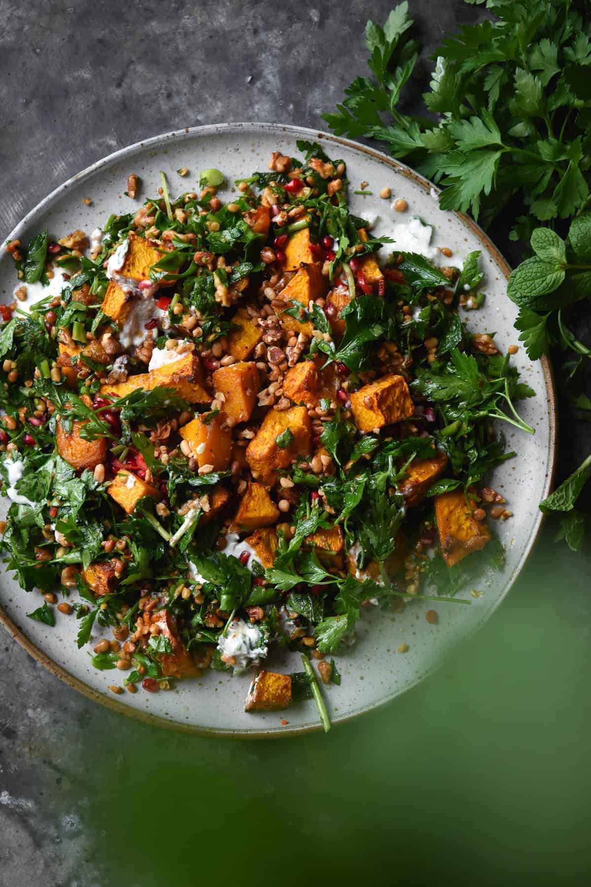 Preserved lemon roasted pumpkin with herb and toasted nut salad, yoghurt and pomegranate arils on a blue backdrop surrounded by herbs