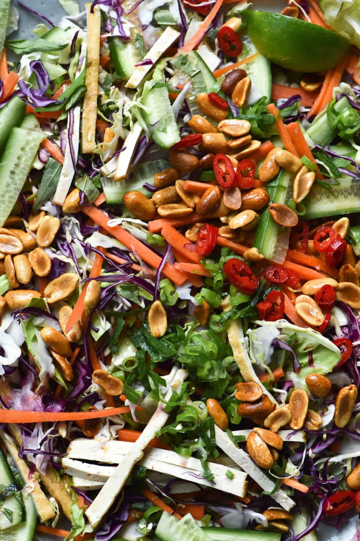 A close up shot of a Vegan Vietnamese coleslaw, topped with lots of toasted peanuts, spring onion greens and a wedge of lime