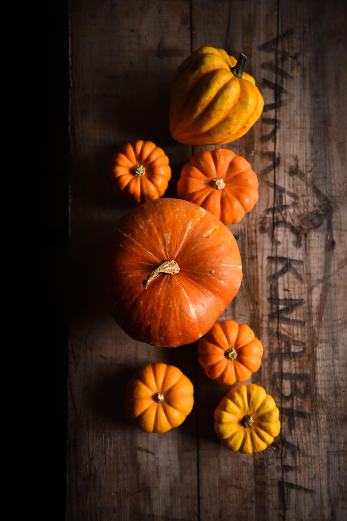 A moody aerial image of heirloom pumpkins on a dark wooden backdrop