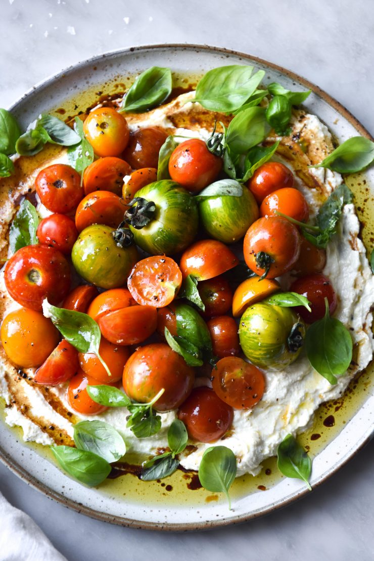 A close up image of a plate of whipped lactose free lemon ricotta topped with fresh summer tomatoes and basil.