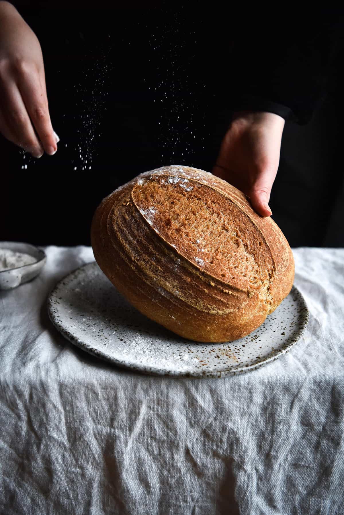 A side on image of a loaf of gluten free sourdough being held against a dark backdrop. It sits on a white ceramic plate atop a white linen tablecloth. A hand extends out to sprinkle flour onto the loaf from the top left corner. 