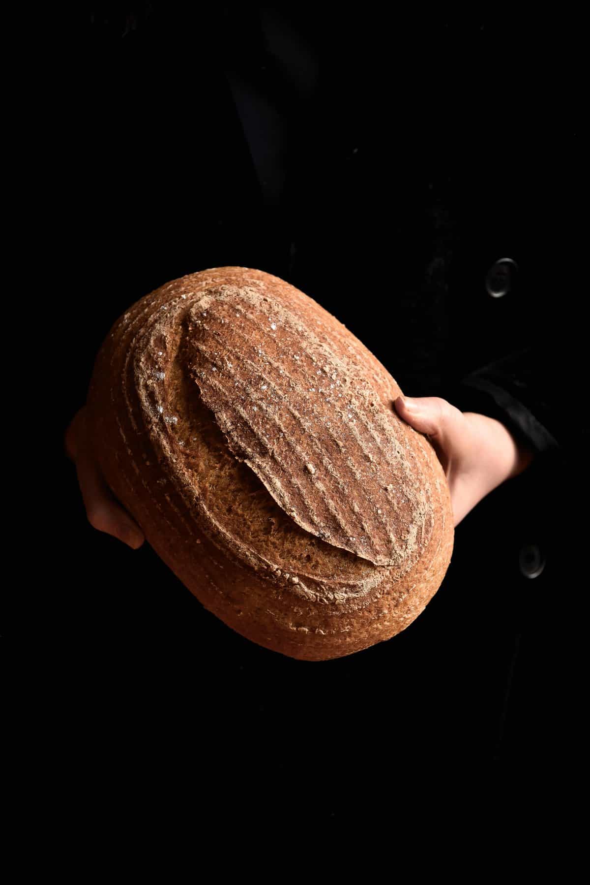 A dark and moody image of a loaf of gluten free sourdough bread being held by someone wearing a black jacket.