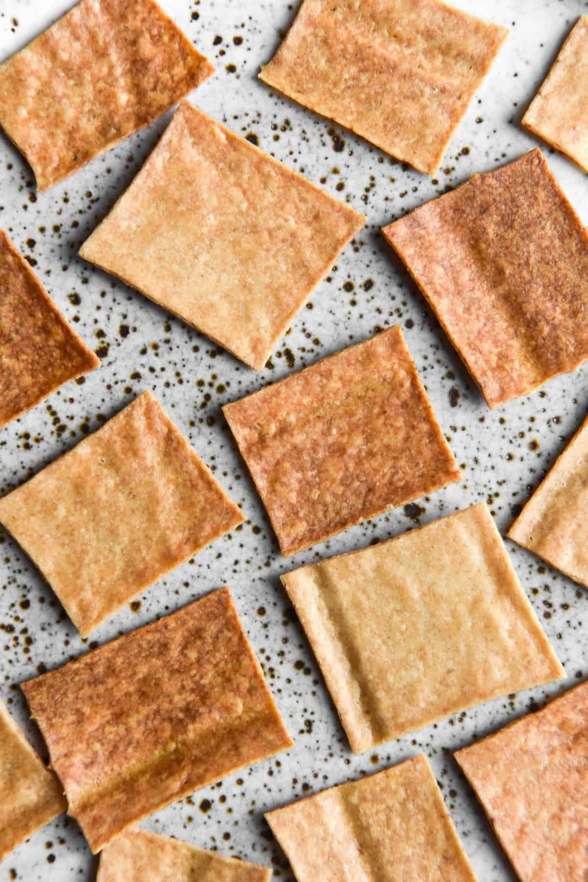 Gluten free sourdough starter crackers