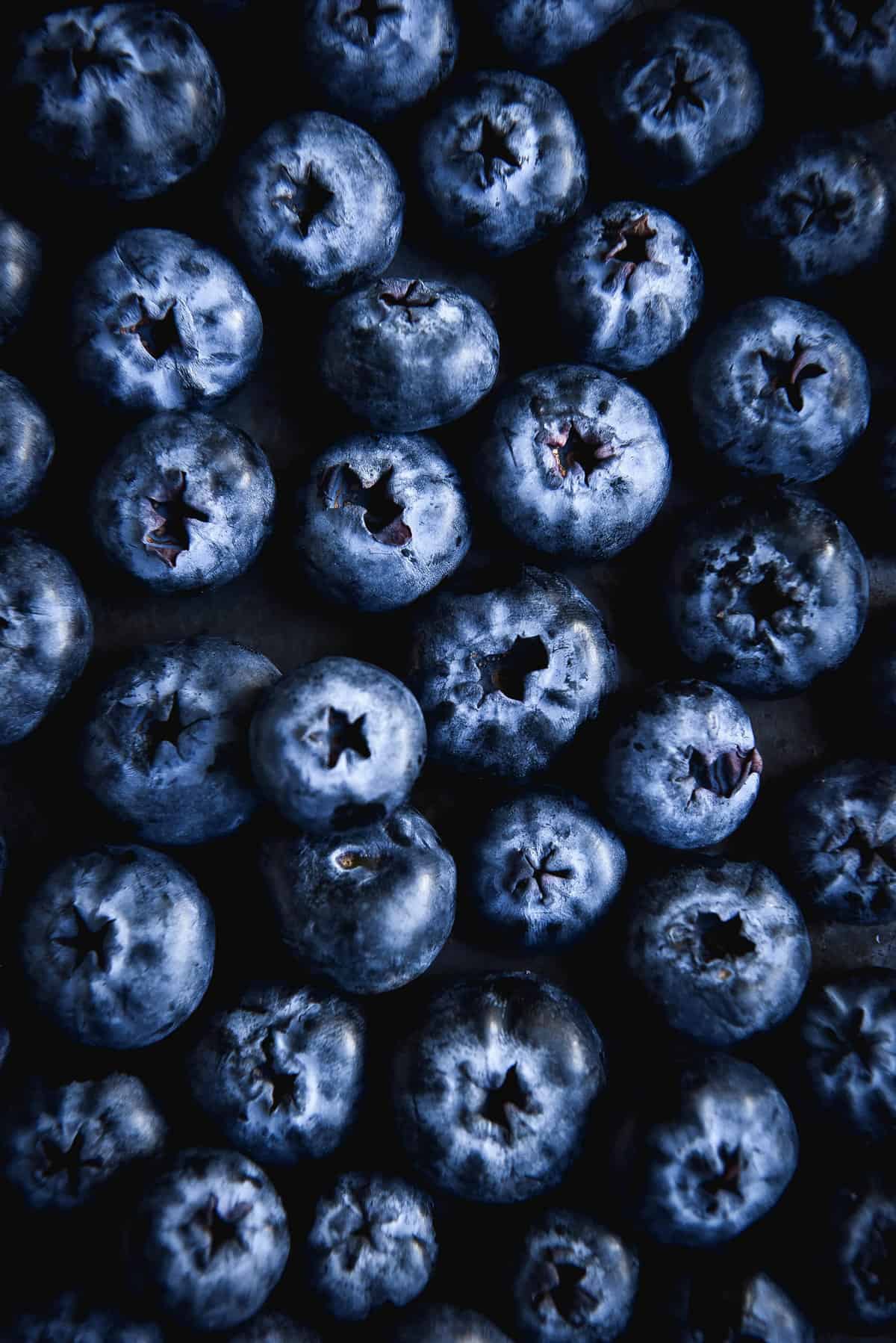 An aerial macro image of blueberries grouped together