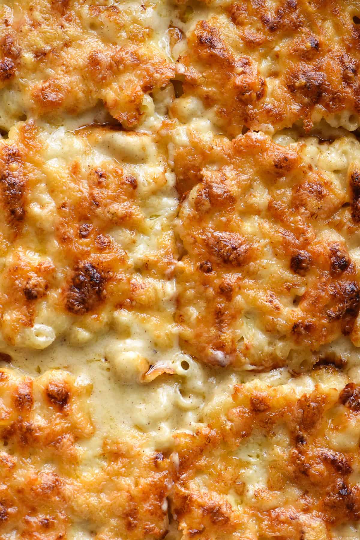 An aerial close up image of vegan gluten free mac and cheese that has been baked and has a golden brown top
