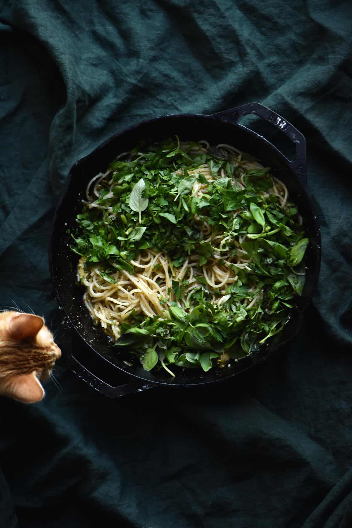 FODMAP friendly pasta with a brown butter lemon sauce, topped with herbs and served in a skillet. A little ginger kitten looks at the dish with intrigue.