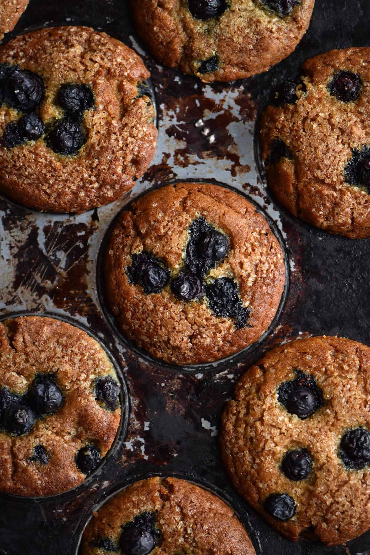 A close up of some vegan, gluten free blueberry muffins in a rustic muffin tray