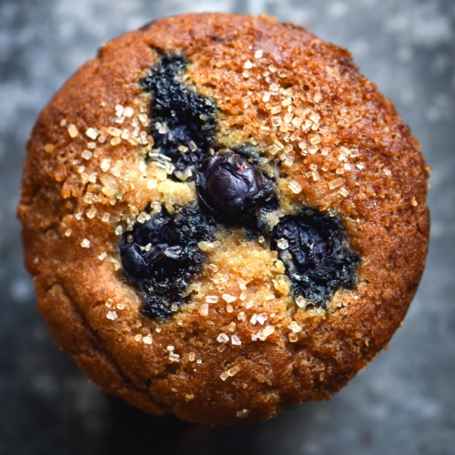 A close up photo of the top of a vegan and gluten free blueberry muffin