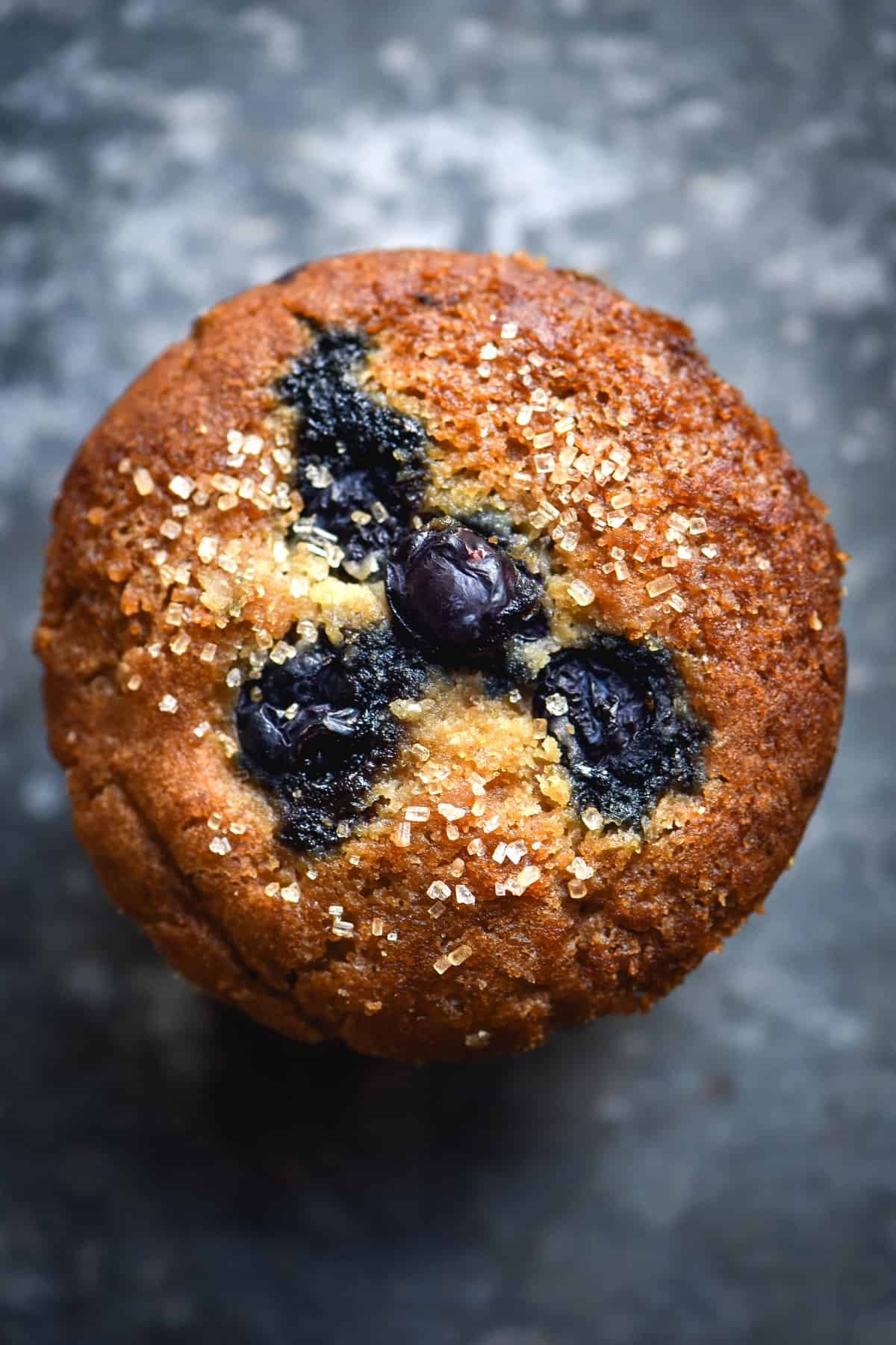 A close up photo of the top of a vegan and gluten free blueberry muffin