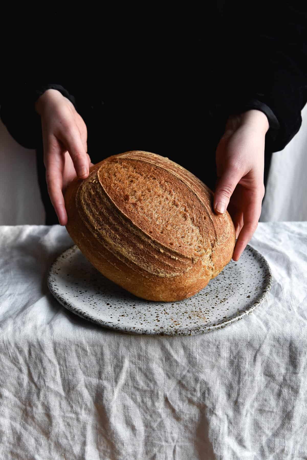 A loaf of gluten free sourdough bread being held up to face the camera. It sits on a speckled white ceramic plate on a white linen tablecloth. The person in the background is wearing a black velvet jacket.