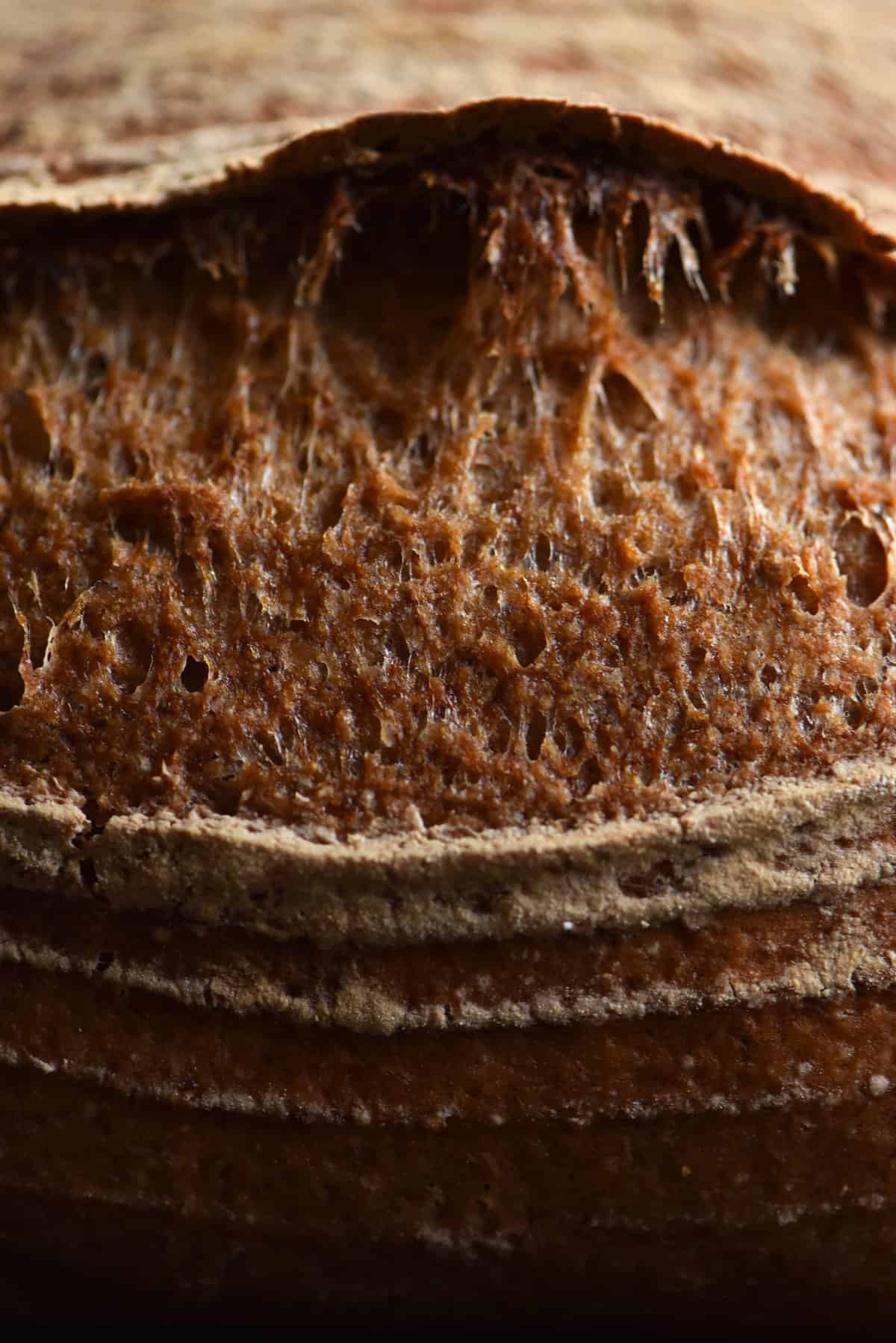 A close up of a loaf of gluten free sourdough bread. The loaf has been scored, exposing a stretchy, golden crust in the eye of the loaf