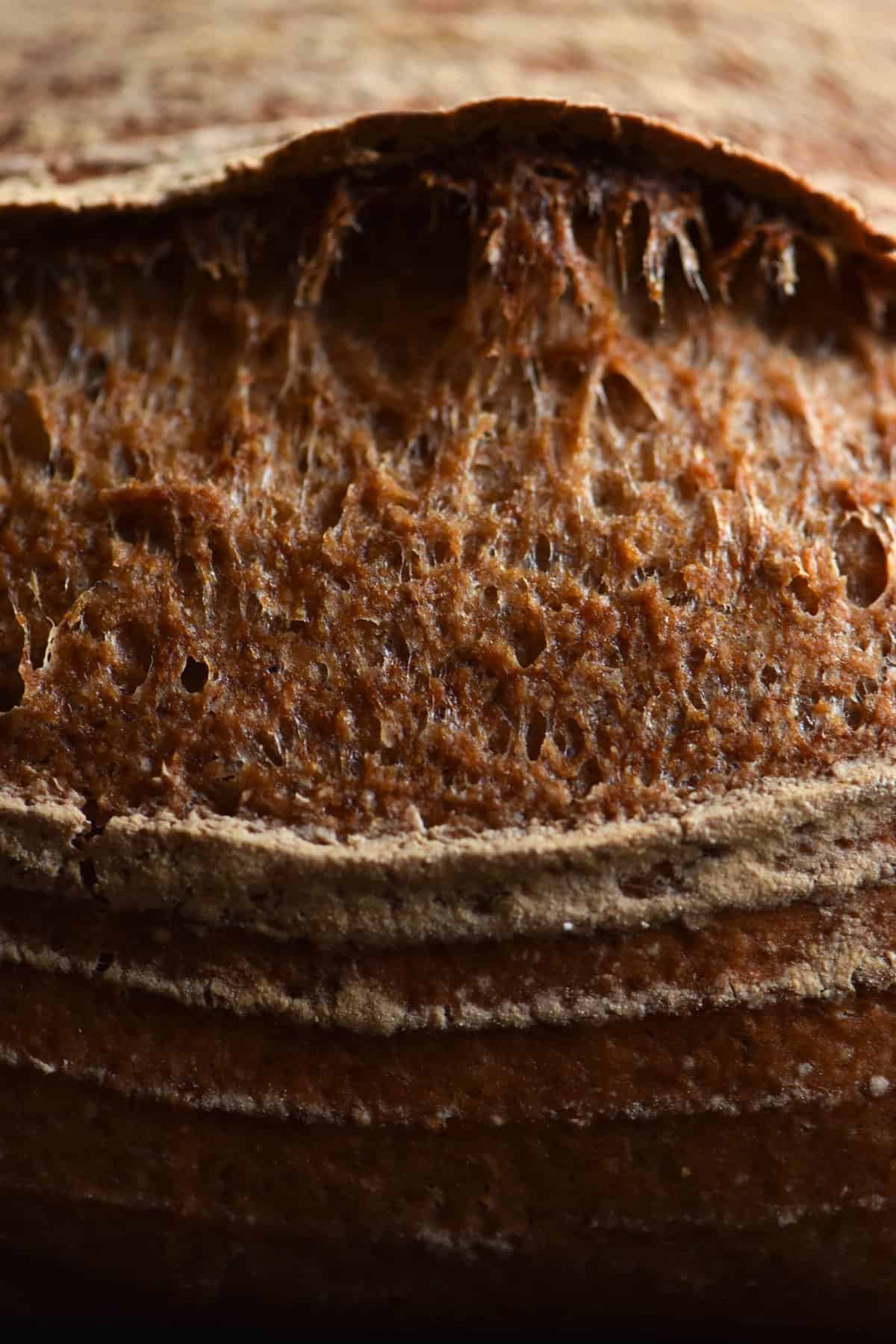 No Dutch oven, no kitchen scale, no thermometer, no proofing basket, and no  scoring lame, but my first sourdough boule attempt still went okay :3 :  r/Breadit