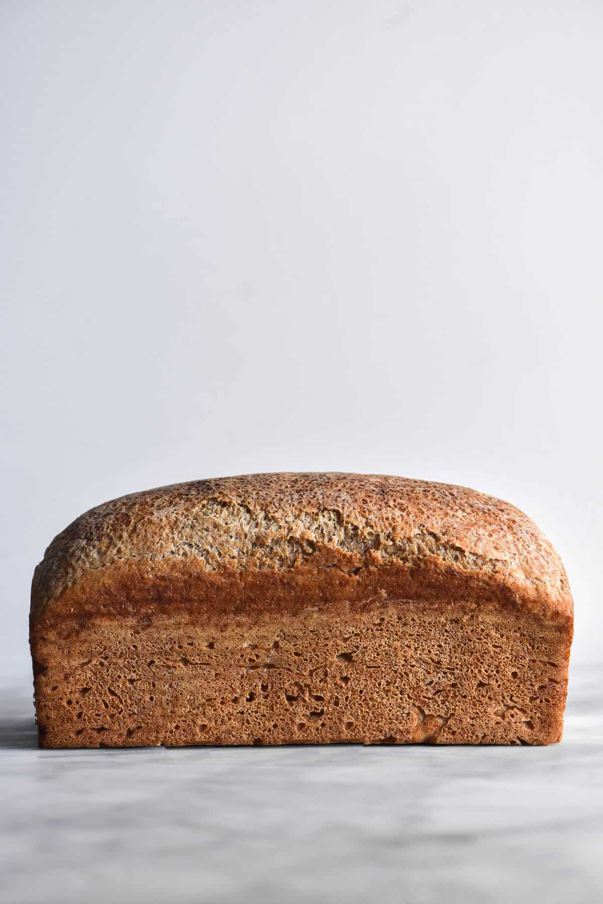 A side on view of an enriched yeasted loaf of gluten free bread. It sits atop a white marble table against a white backdrop