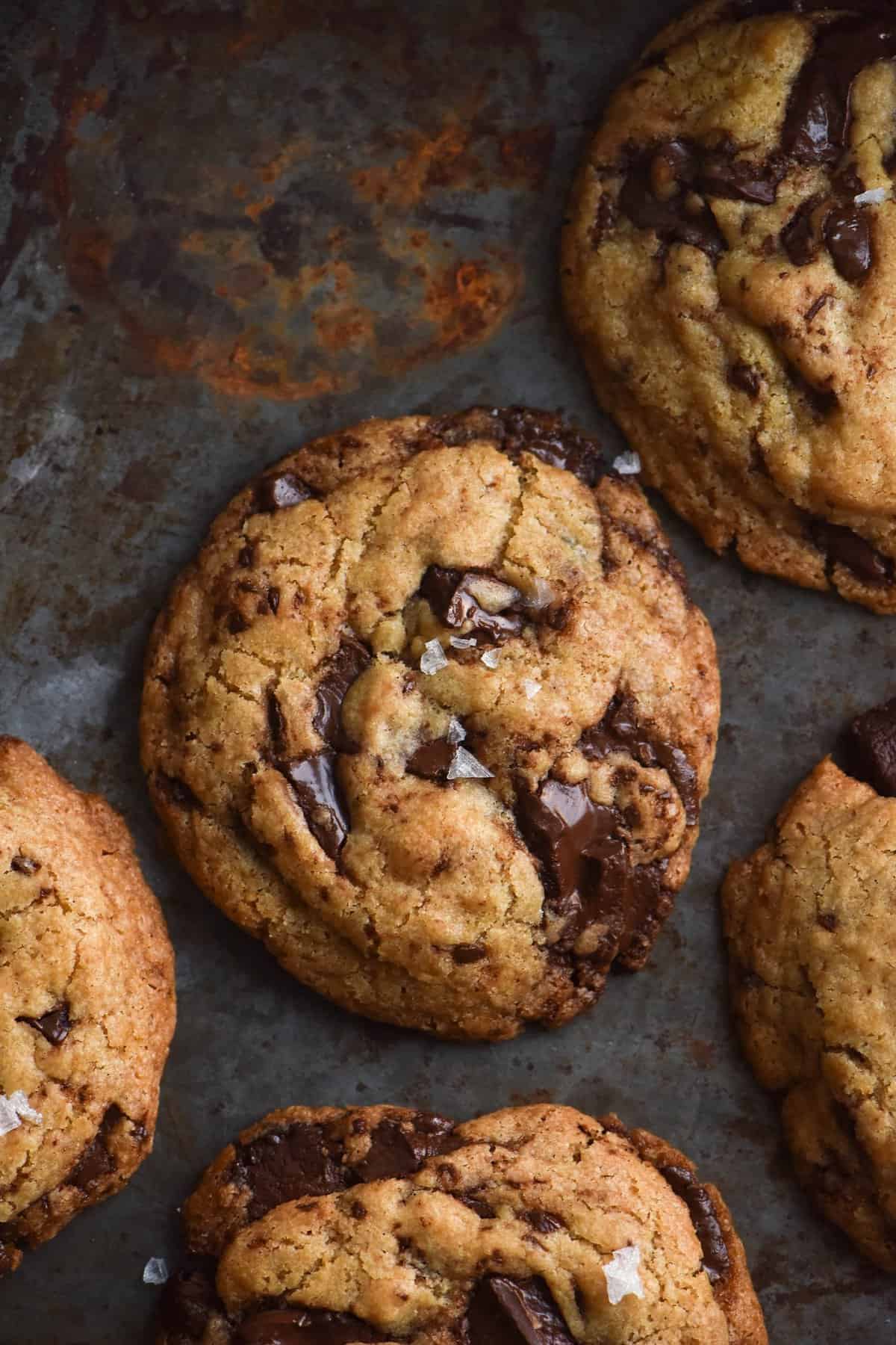 An aerial view of gluten-free vegan choc-chip cookies on a moody, mottled and rusted grey backdrop. The cookies are speckled with melted chocolate and sea salt flakes