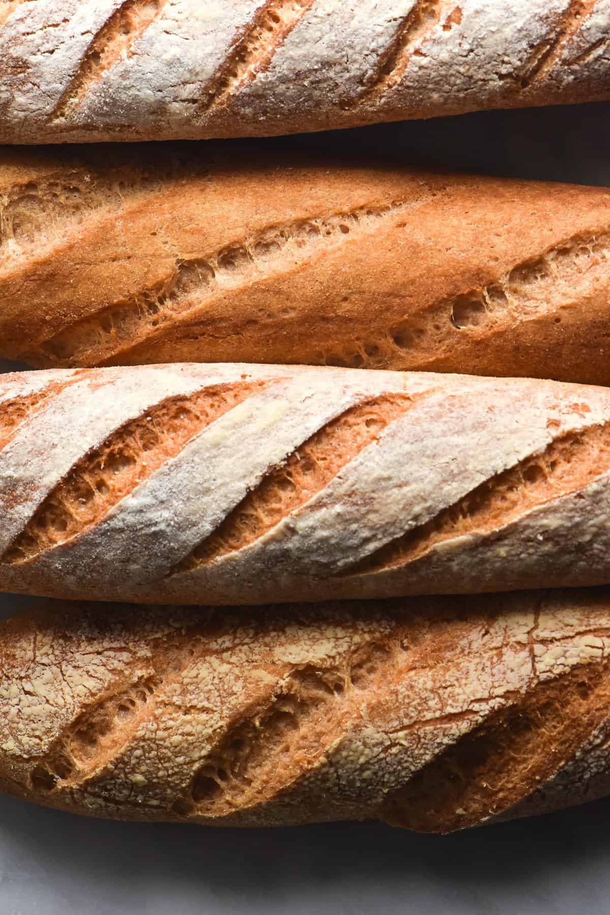 A close up aerial view of four gluten free baguettes. The baguettes line the image horizontally so the viewer can see a close up of the crust of each baguette.