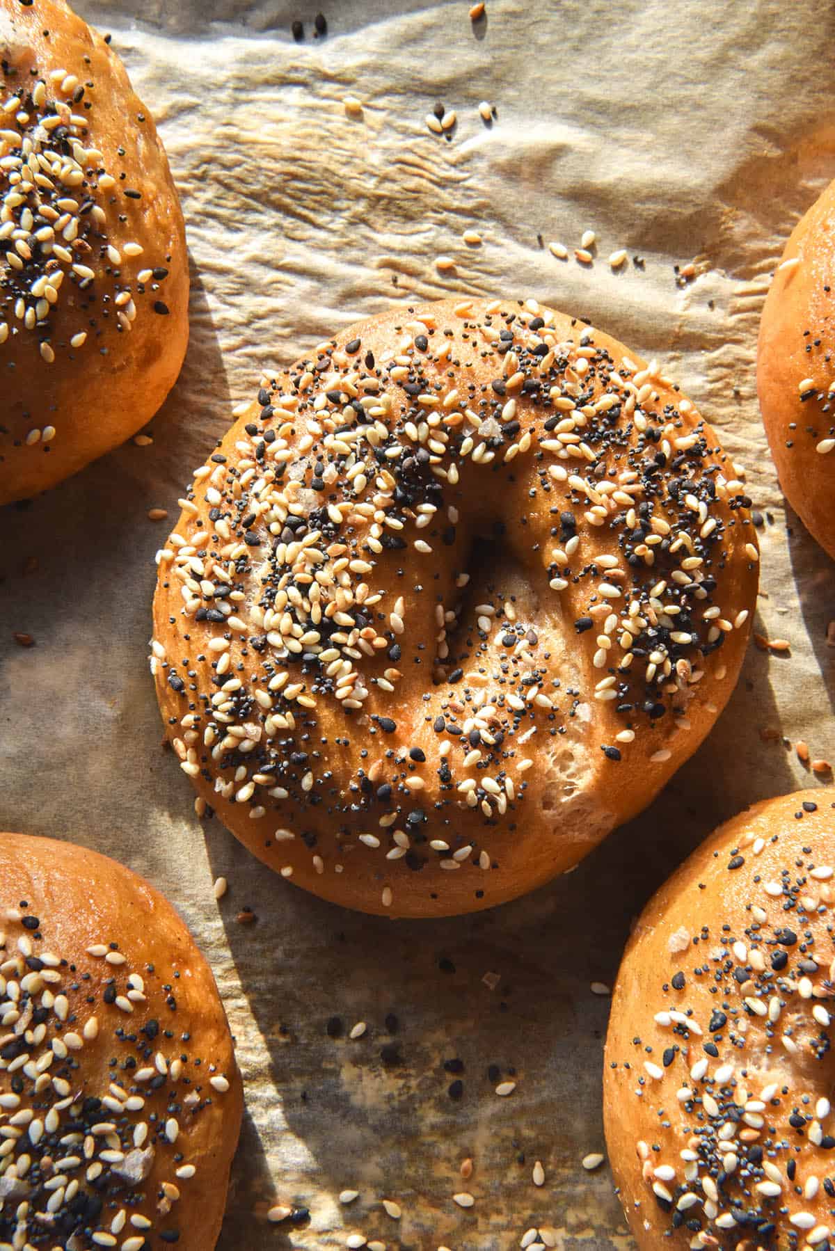 An aerial close up view of gluten free bagels sitting on a lined baking tray. The bagels are golden brown, covered in FODMAP friendly everything bagel seasoning, and bathed in warm sunlight