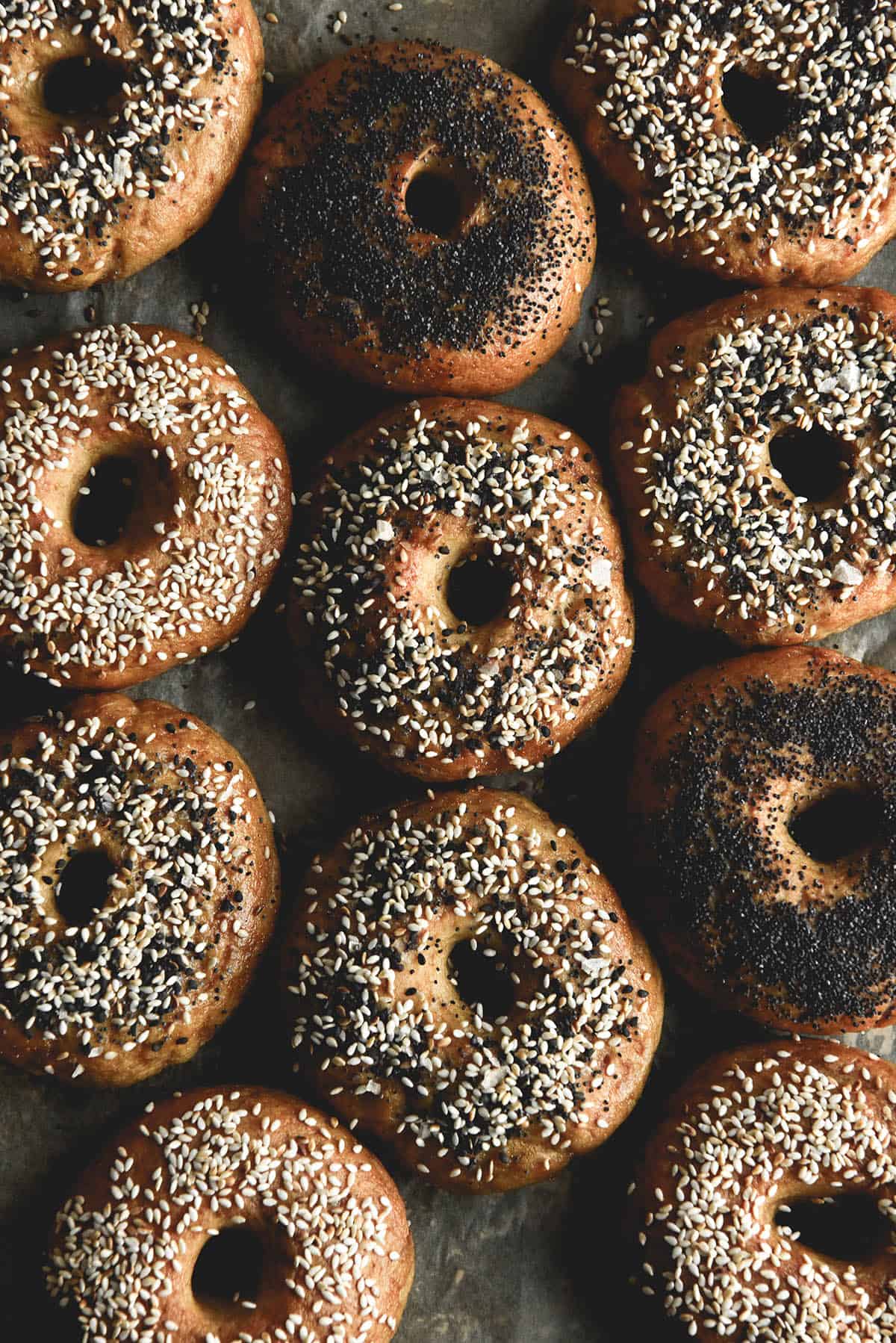 An aerial image of a tray filled with gluten free bagels topped with everything bagel seasoning, toasted sesame seeds or poppy seeds. The shot is contrasted and moody. 