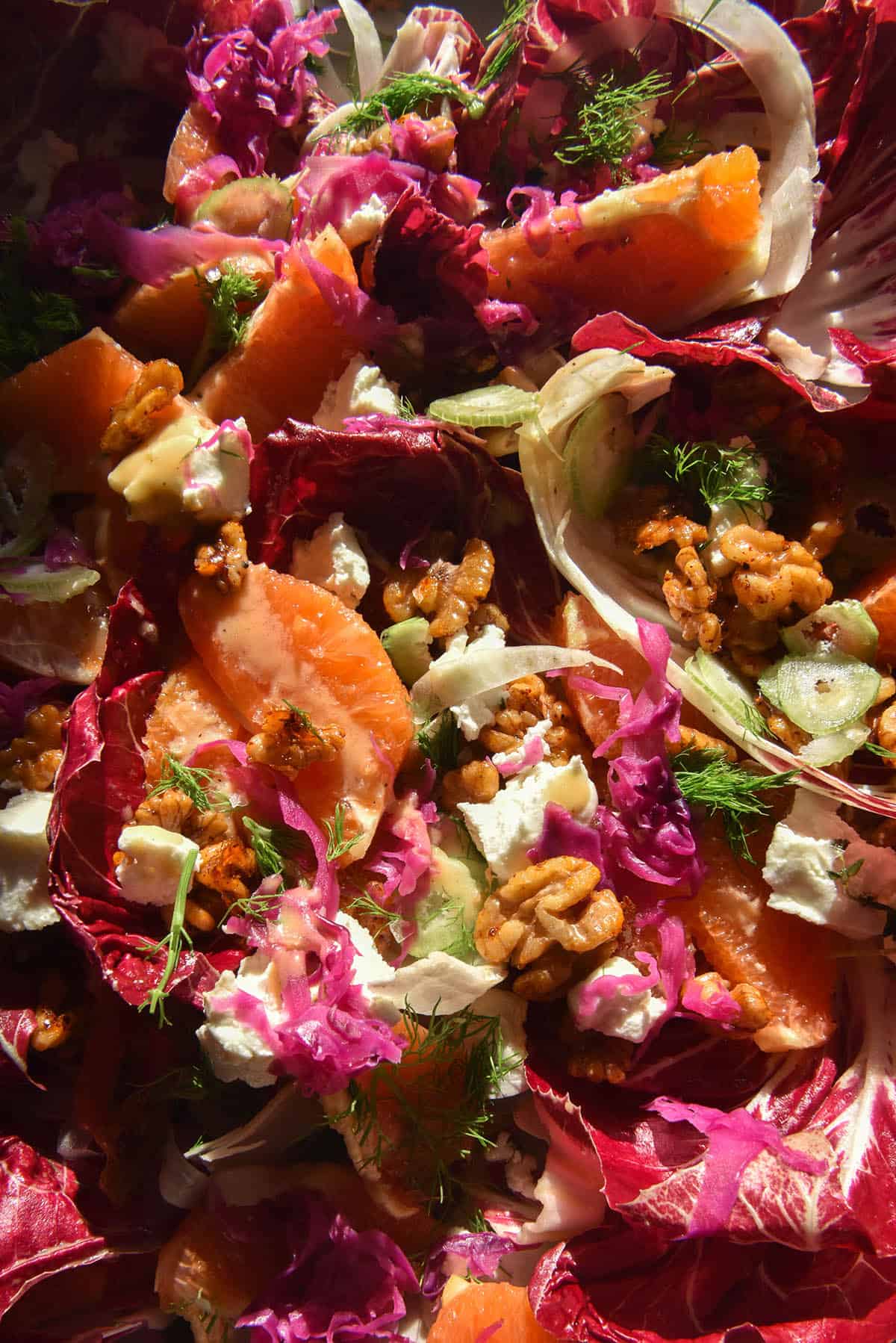 A close up aerial photo of a radicchio, orange, fennel, goats cheese and chilli maple walnut salad. The salad is bathed in sunlight, creating a warm glow. It is topped with FODMAP friendly faux pickled red onion and some fennel fronds for colour. 