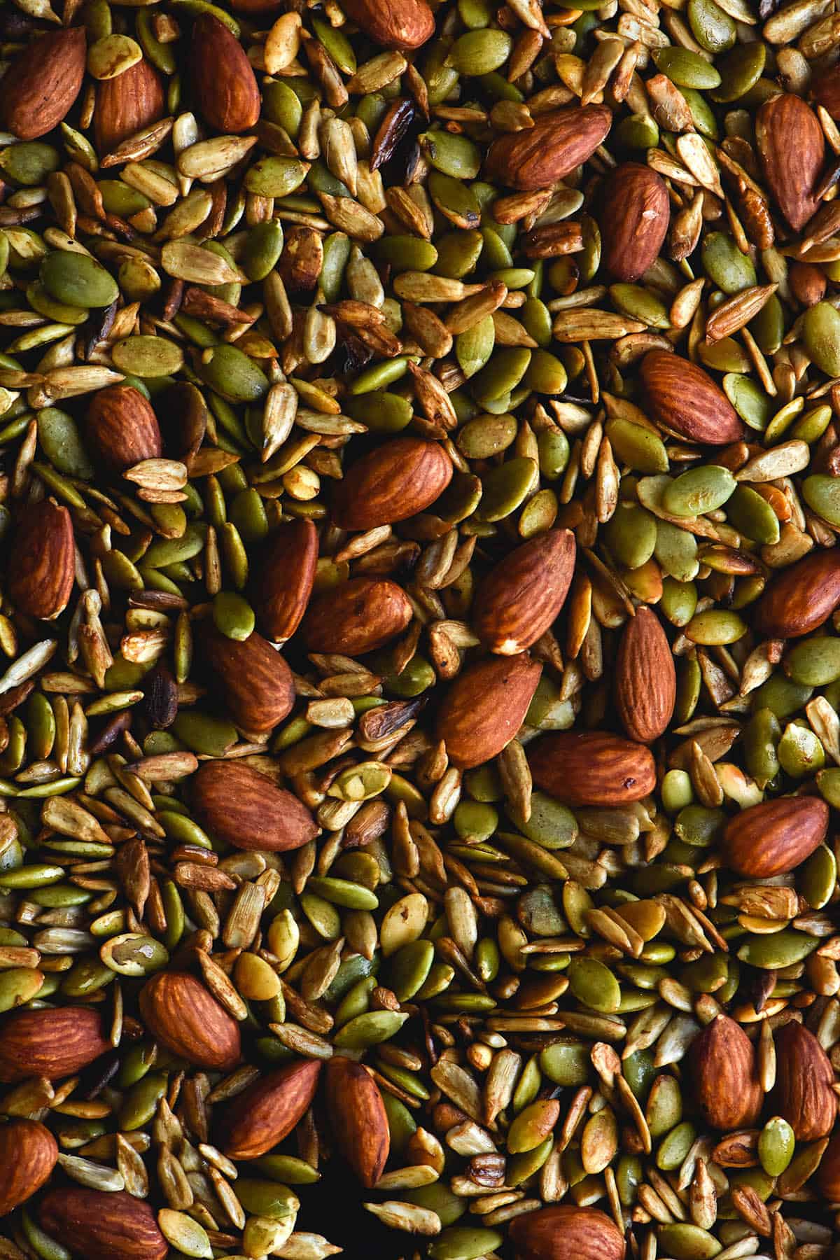 An aerial close up view of a tray of Tamari nut mix made up of toasted almonds, sunflowers and pepitas.
