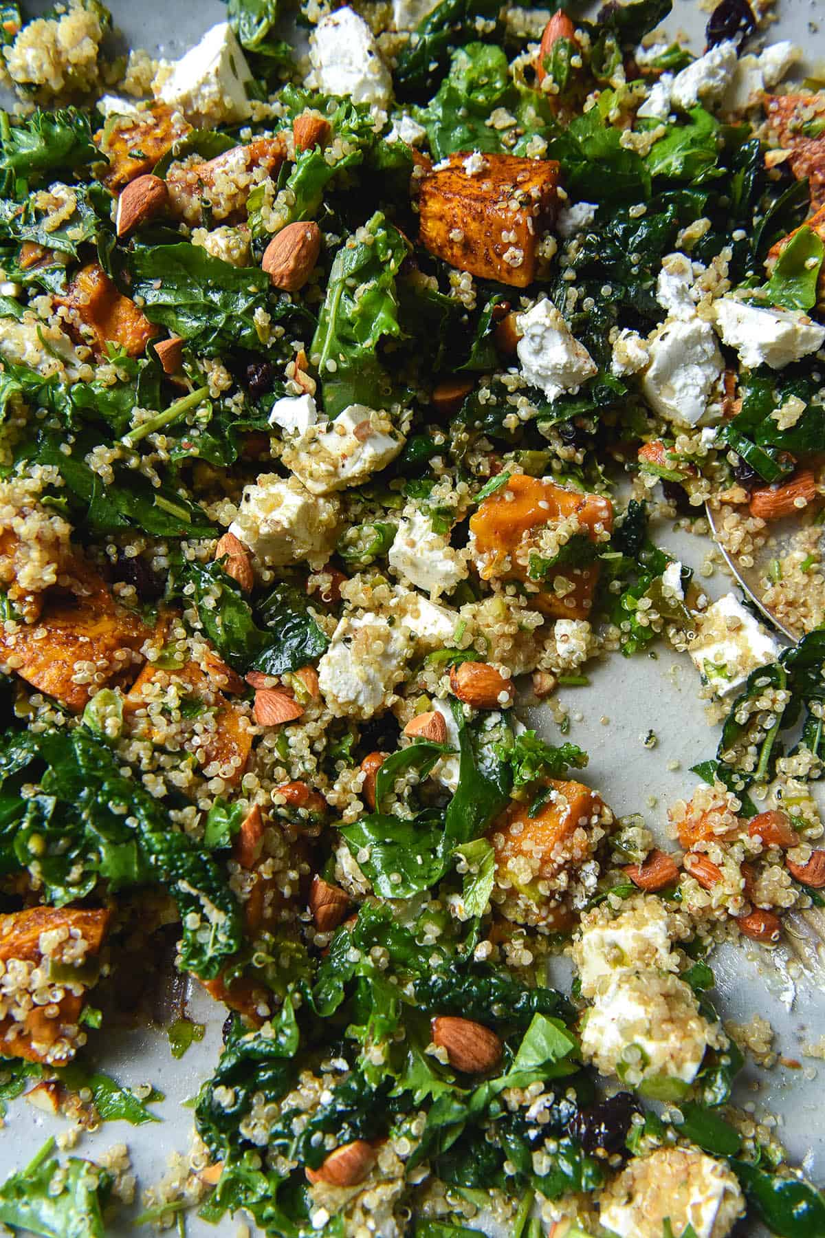 An aerial, close up view of a kale, quinoa, roasted pumpkin, feta, almond and raisin salad, casually strewn about a white ceramic serving platter. 