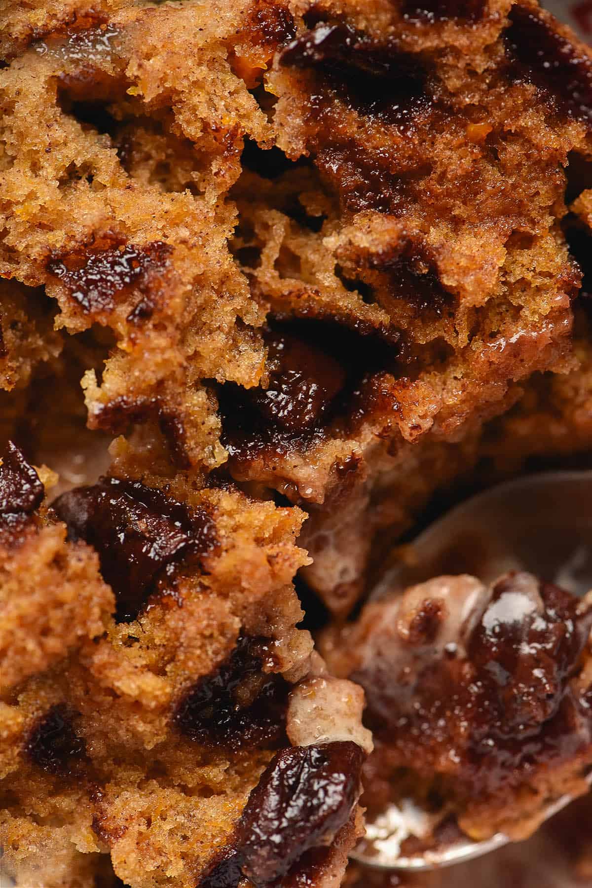 A close up image of the fluffy crumb interior of a gluten free pumpkin mug cake filled with chocolate chips. The melty chocolate chips melt into the crumb. A spoon dips into the cake from the bottom left hand side of the image. 