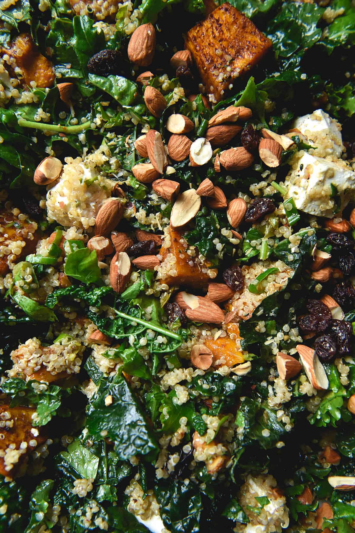 A close up macro image of a kale, quinoa, roasted pumpkin, feta, almond and raisin salad.