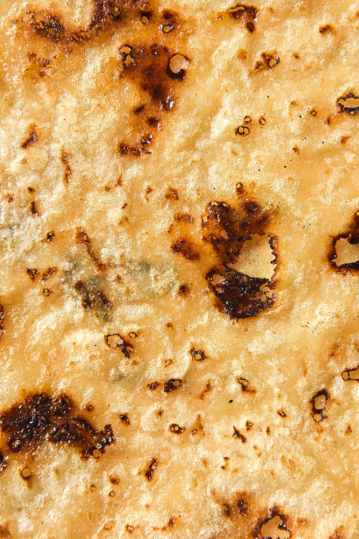 A close up macro photo of a grain free tortilla with golden brown caramelisation marks across the top of the tortilla