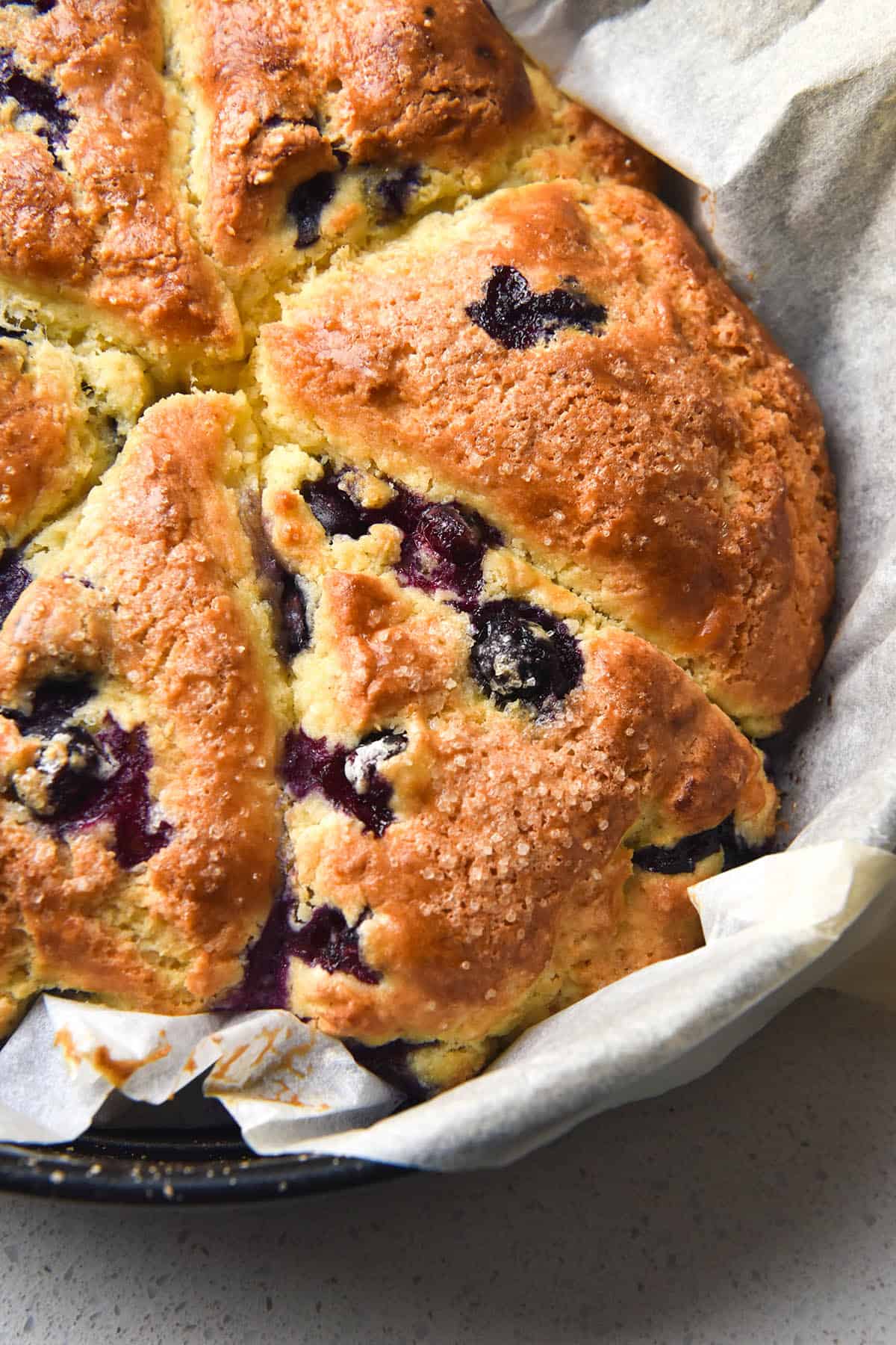 A aerial close up view of a round of baked blueberry scones in a cake tin with baking paper. 