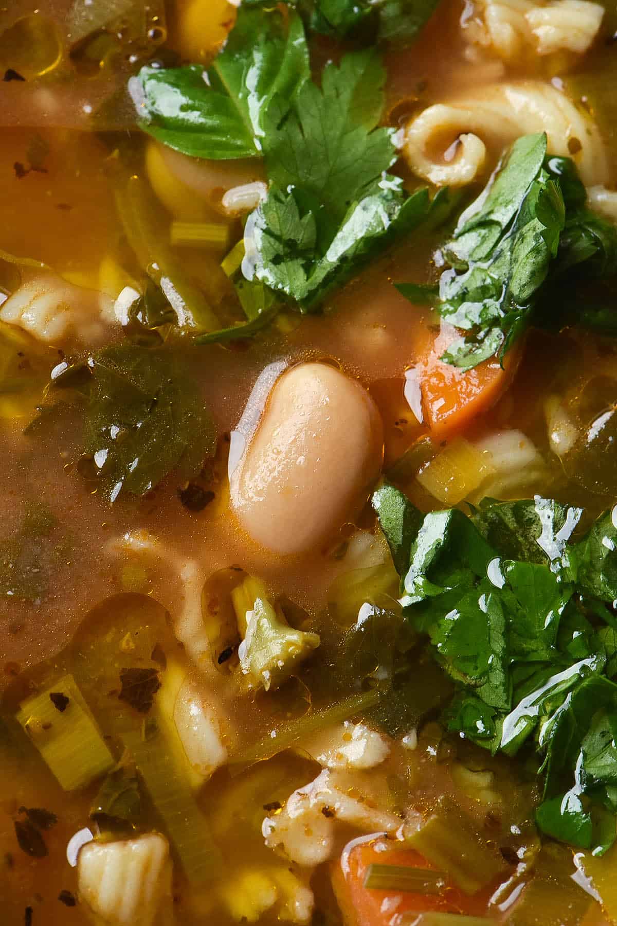 A close up image image of a brothy low FODMAP minestrone topped with fresh herbs and garlic infused oil. A cannelini bean bobs above the surface in the centre of the image, surrounded by herbs, vegetables and globules of garlic infused oil