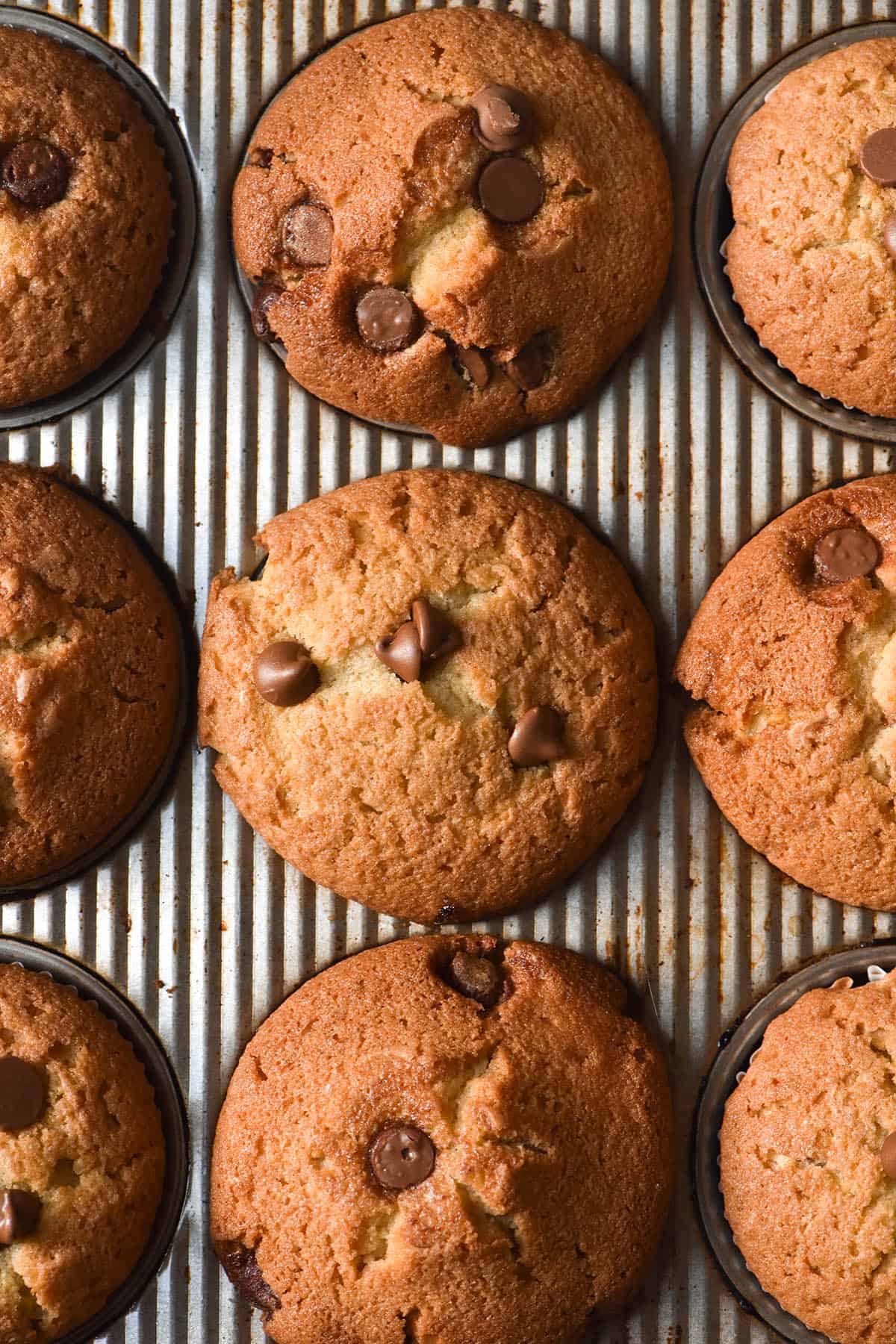 An aerial image of gluten free chocolate chip muffins in a silver textured muffin tray. The muffins are topped with chocolate chips and have a golden brown crumb. 