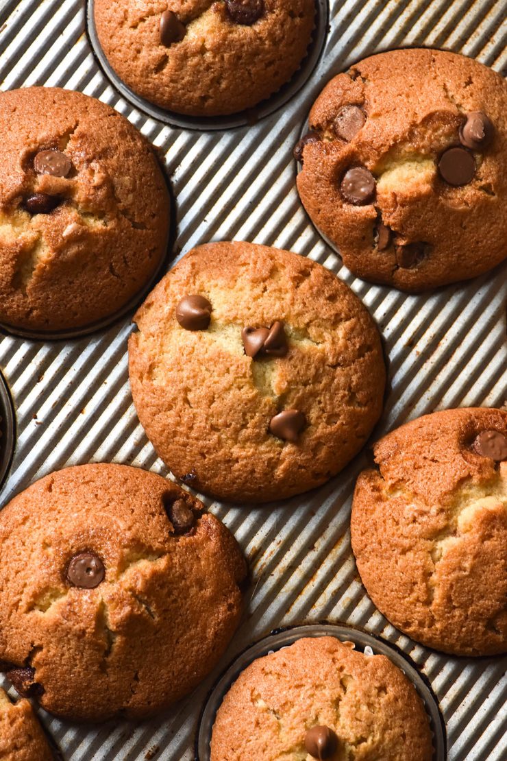 An aerial view of a muffin tray filled with gluten free chocolate chip muffins. The muffin tops are golden brown and studded with extra chocolate chips