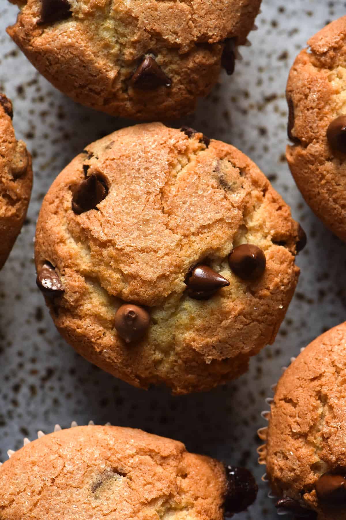 An aerial image of gluten free chocolate chip muffins atop a white speckled ceramic plate. The muffins are golden brown and studded with chocolate chips.