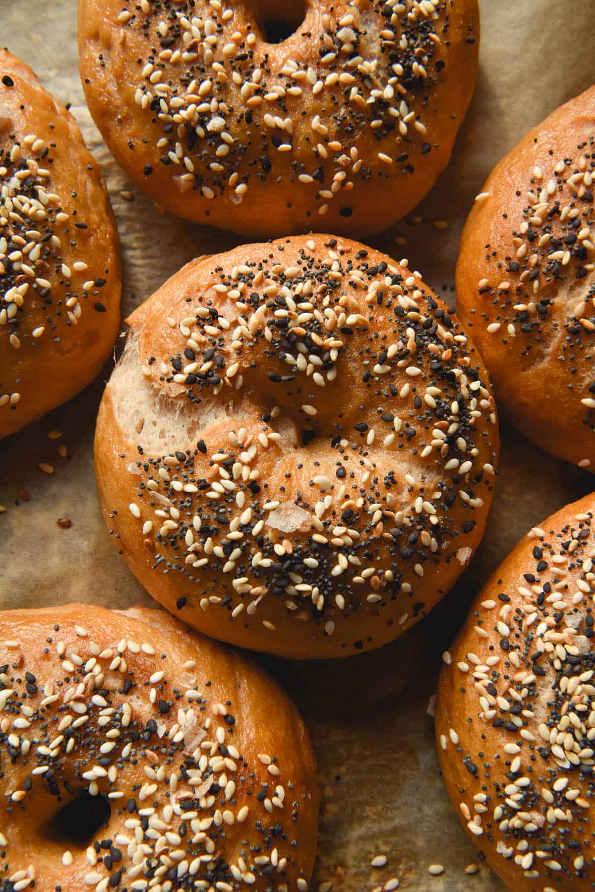 An aerial close up image of gluten free vegan bagels topped with low FODMAP everything bagel seasoning on a lined baking sheet