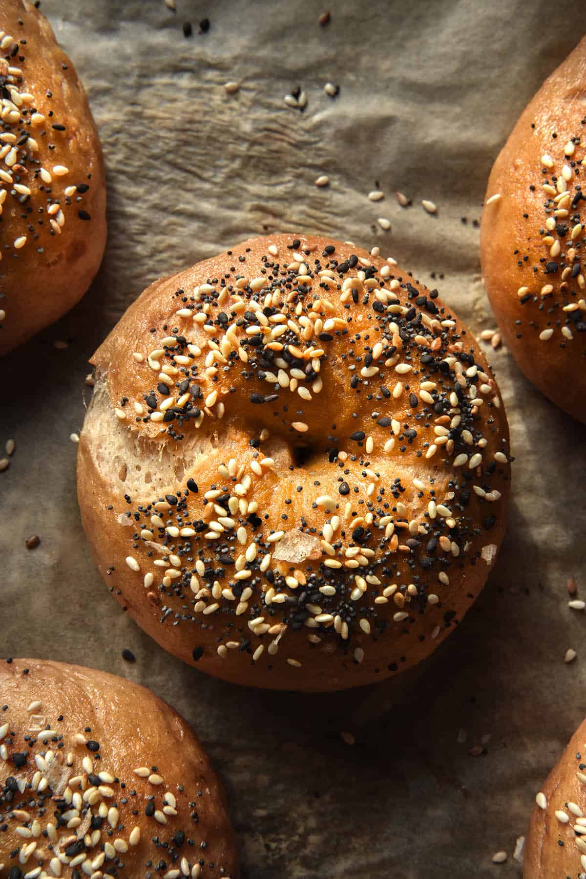 An aerial close up moody image of gluten free bagels on a sheet tray lined with baking paper. The bagels are topped with a low FODMAP everything bagel seasoning. 