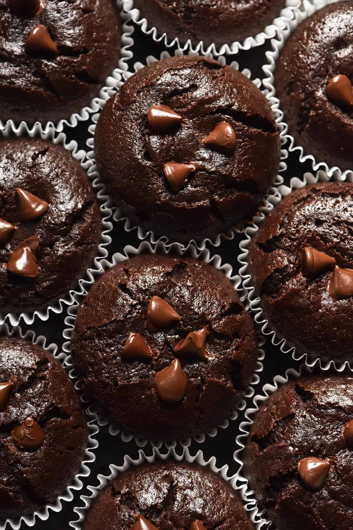 An aerial close up image of gluten free chocolate muffins grouped together in white muffin liners. The muffins are studded with melty dark chocolate chips.