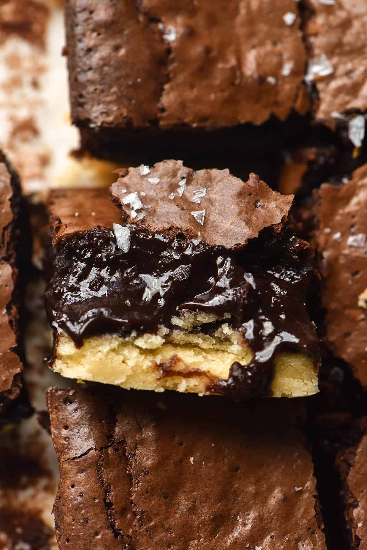 An aerial image of a tray of gluten free shortbread brownies. The central brownie is turned upwards to face the camera, revealing a gooey chocolate brownie atop a shortbread base. 
