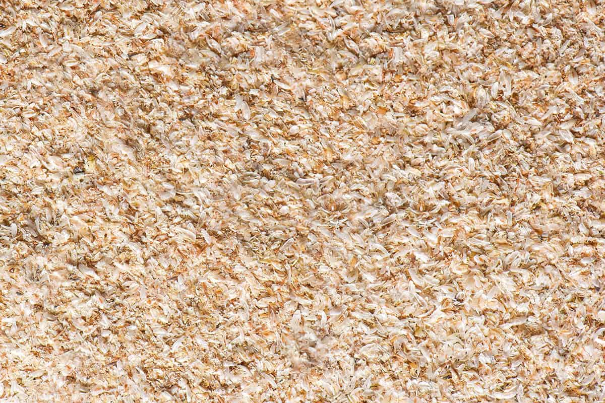 An aerial macro image of psyllium husk 