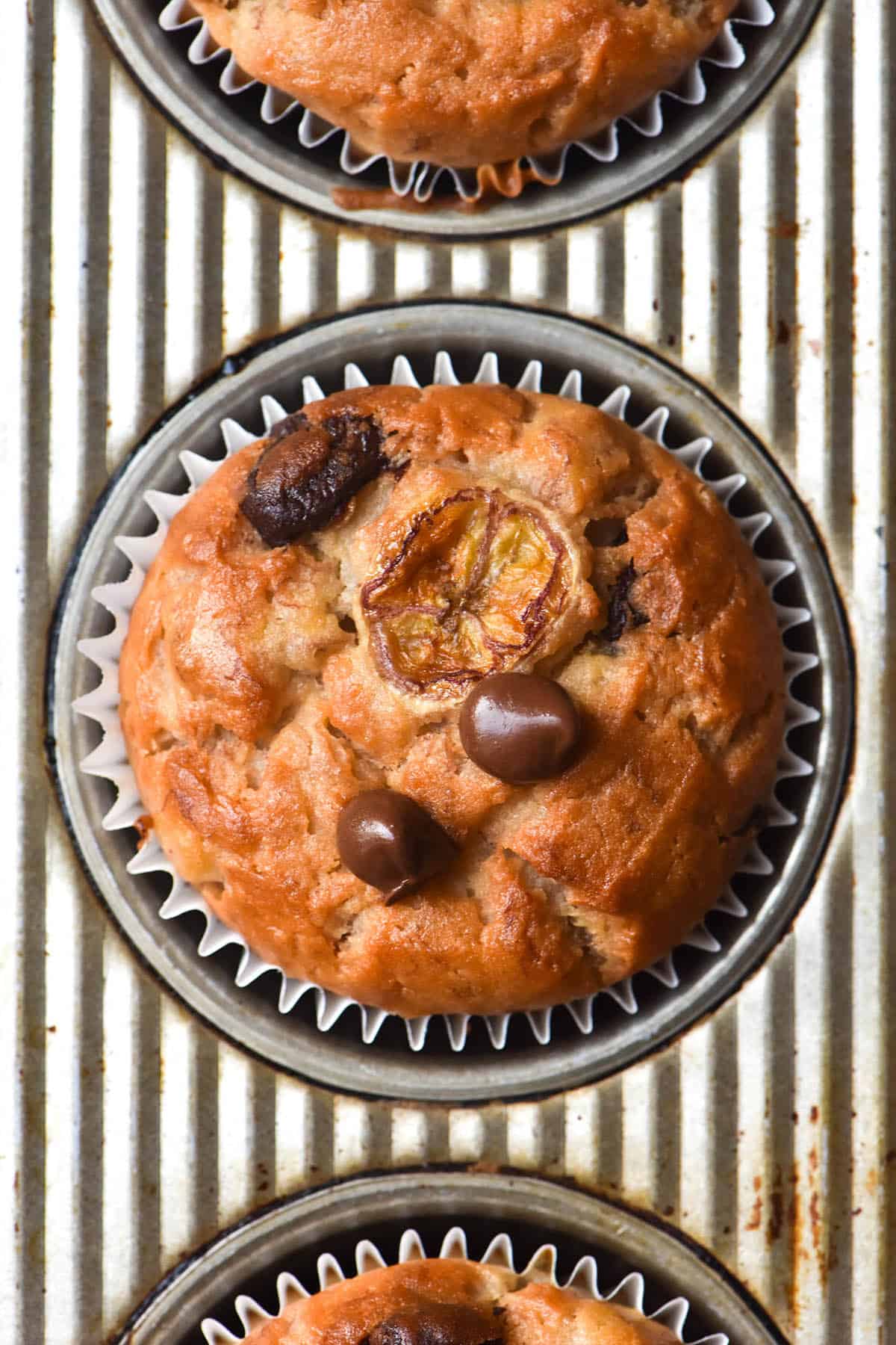 An aerial image of a gluten free banana muffin in a textured muffin tin. The muffin is topped with a slice of banana and dark chocolate chips and is golden brown. 