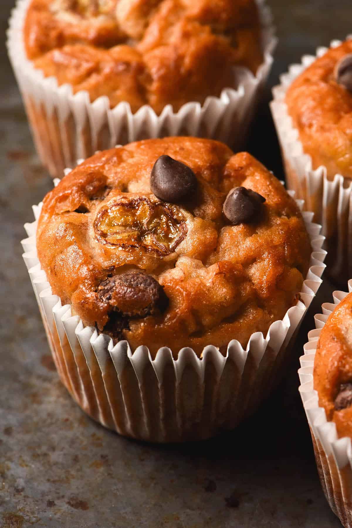 A moody close up image of gluten free banana choc chip muffins in white muffin liners on a grey steel backdrop.