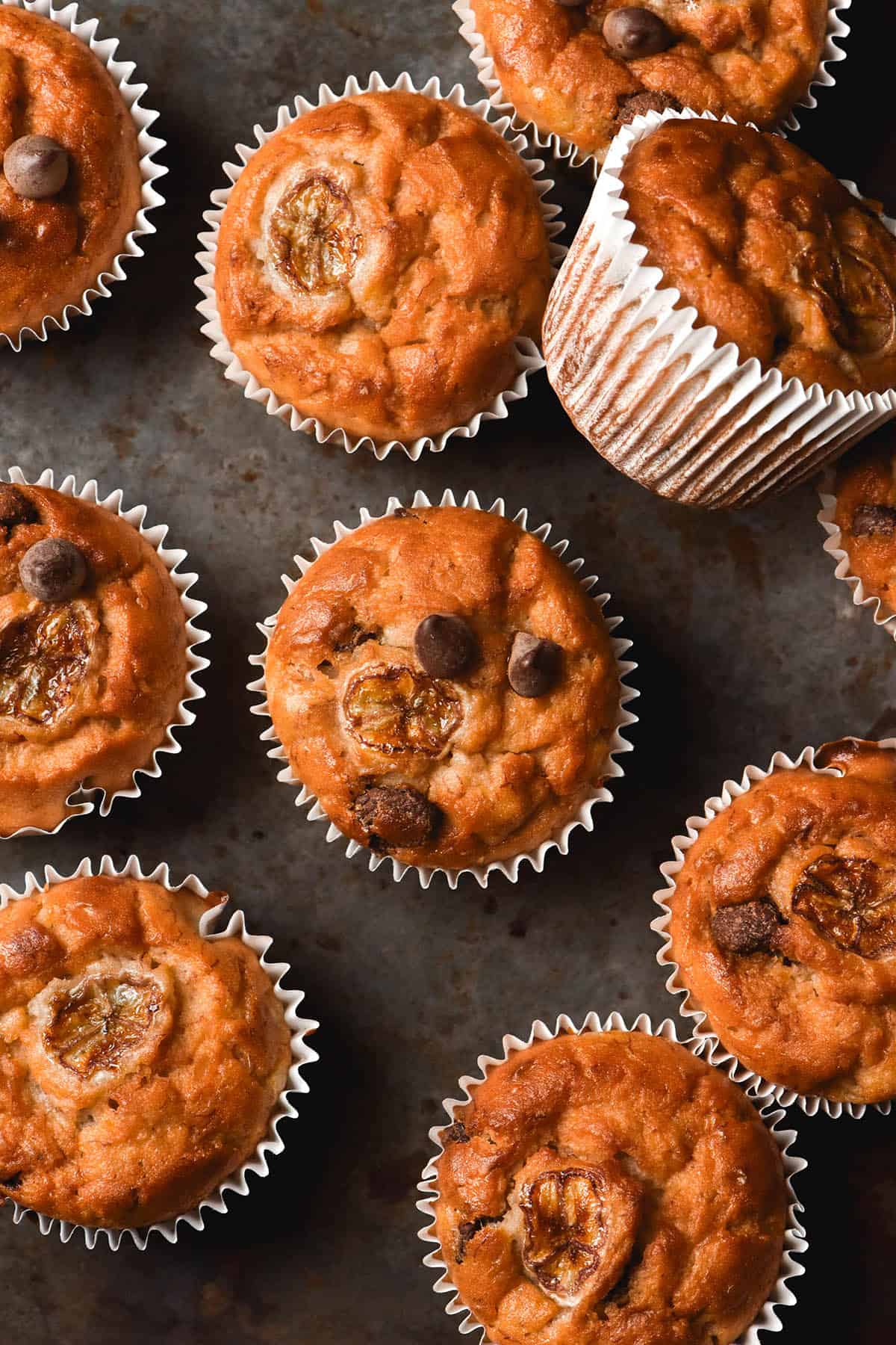 An aerial image of gluten free banana choc chip muffins in white muffin liners casually arranged on a dark metal backdrop.