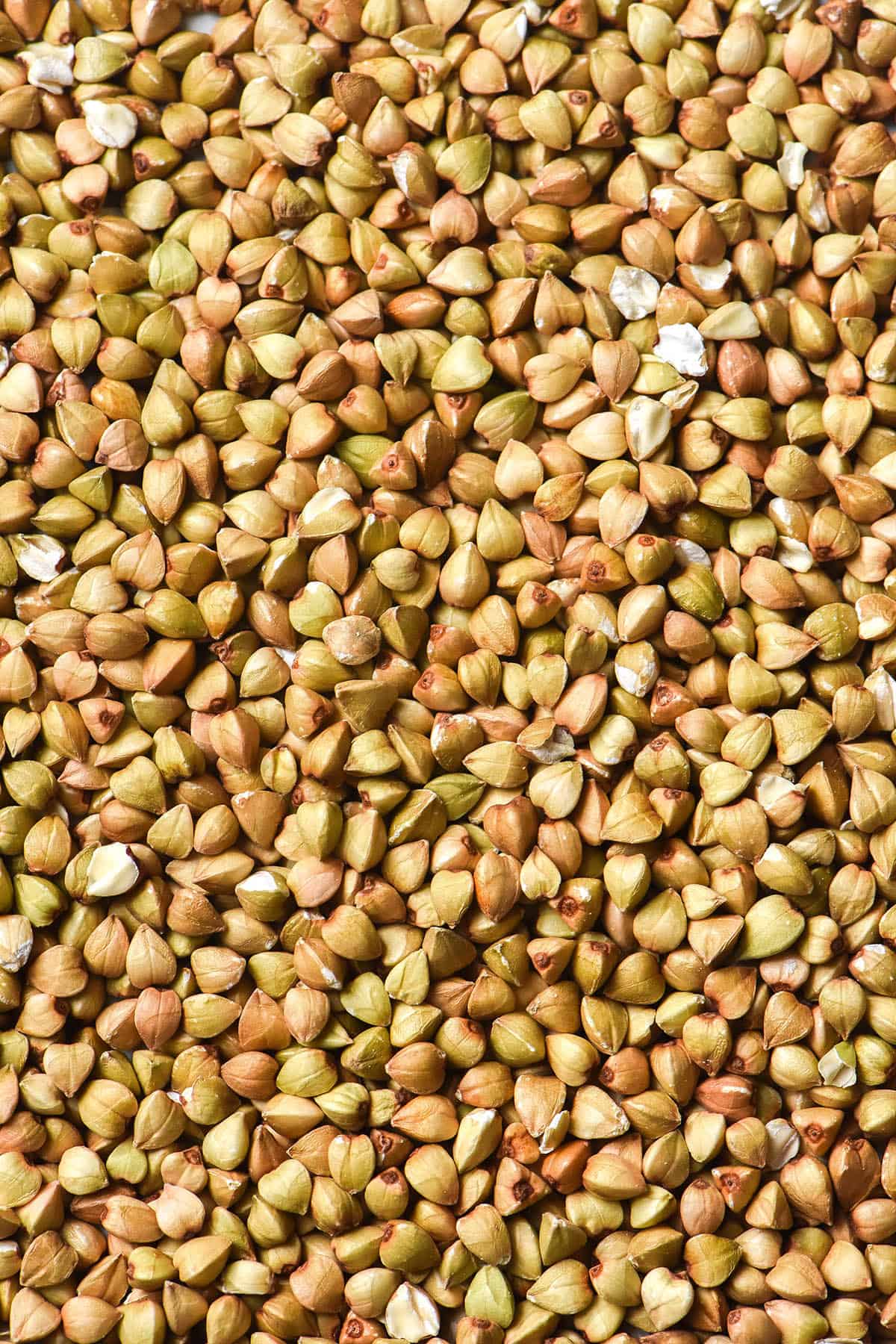 An aerial macro view of buckwheat groats arranged on a plate