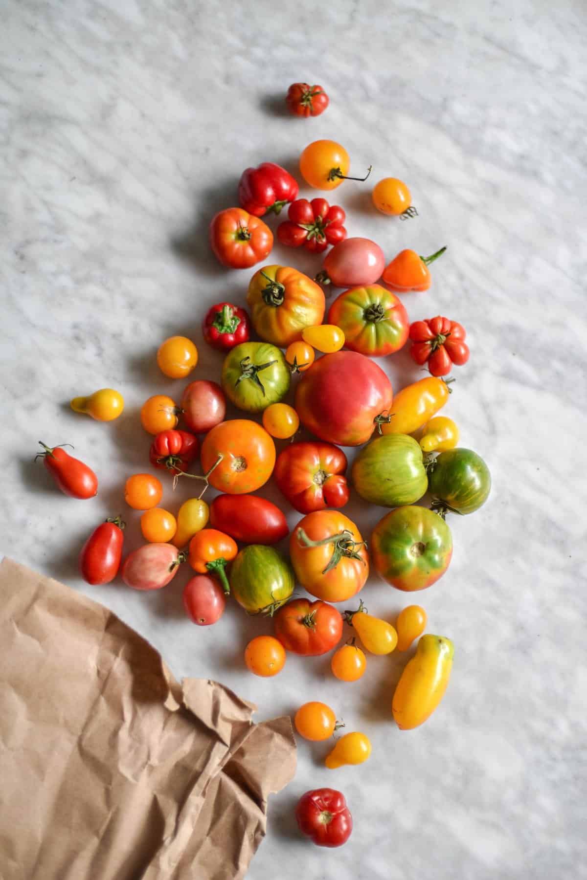 An aerial image of multi coloured heirloom tomatoes casually grouped on a white marble table. 
