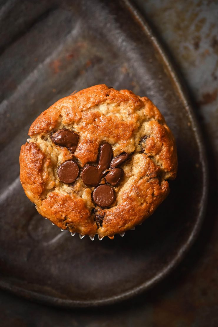 A gluten free banana choc chip muffin on a dark steel plate atop a dark steel backdrop. The muffin is golden brown and studded with dark chocolate chips.