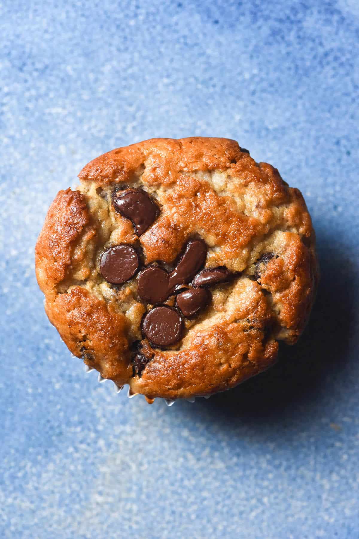 An aerial image of a gluten free banana choc chip muffin on a bright blue ceramic plate. The muffin is golden brown and studded with dark chocolate chips. 
