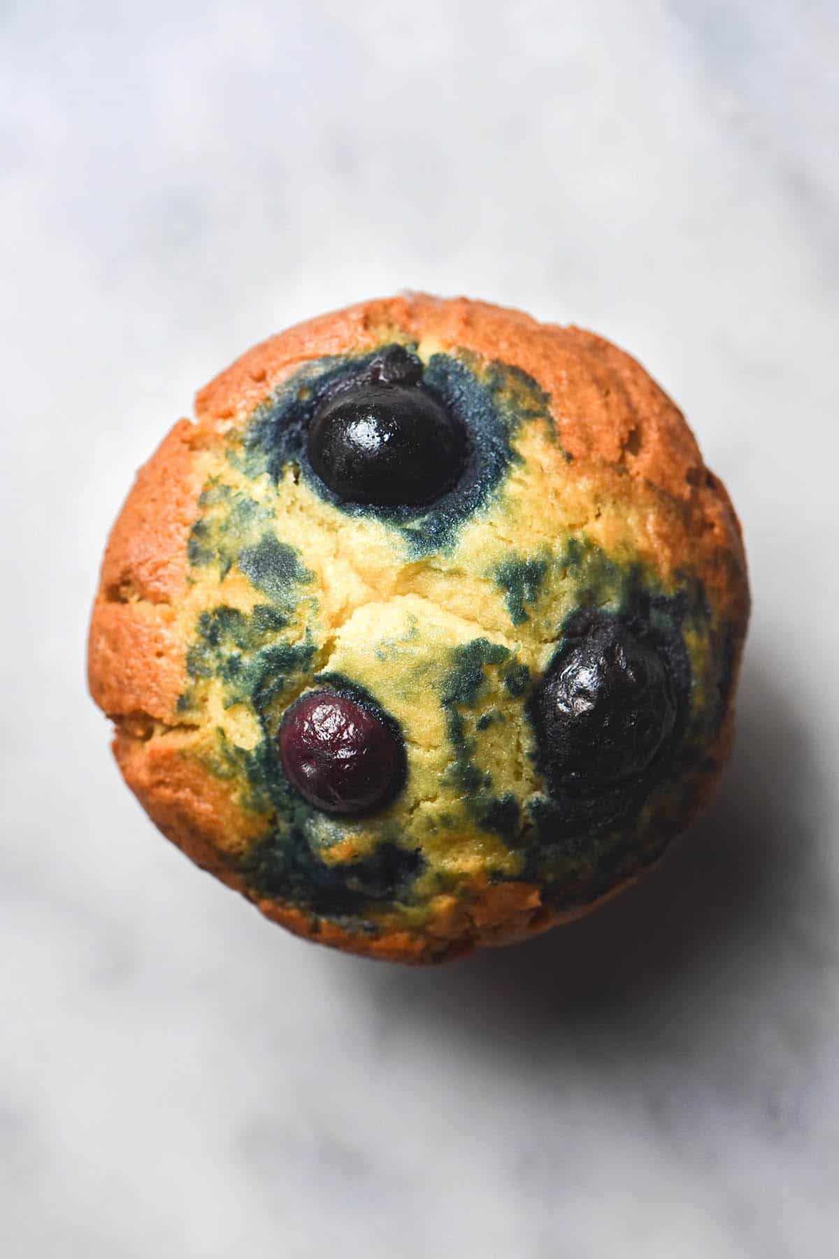 An aerial macro image of a single serve gluten free vegan blueberry muffin on a white marble table