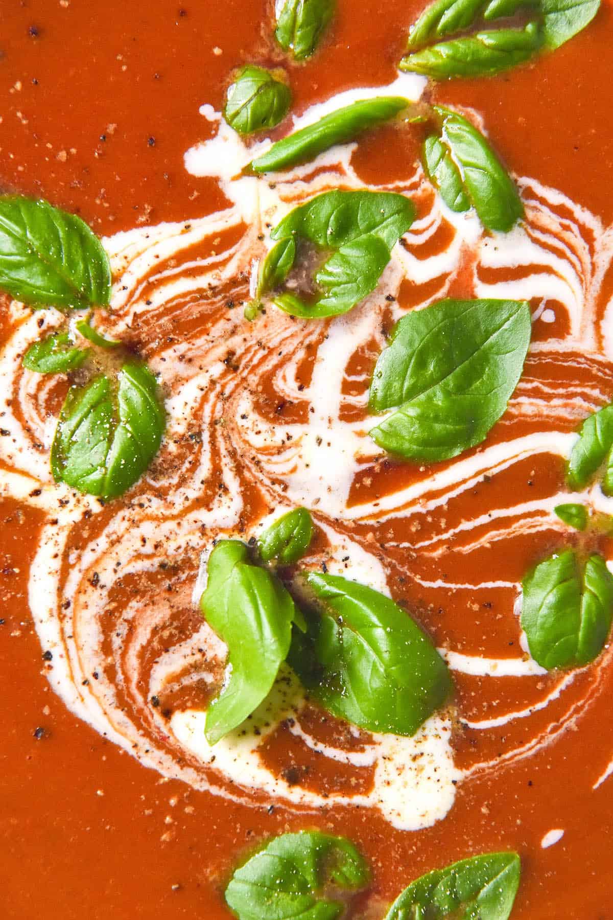 A close up macro image of low FODMAP tomato soup swirled with cream and topped with fresh basil and cracked pepper. 