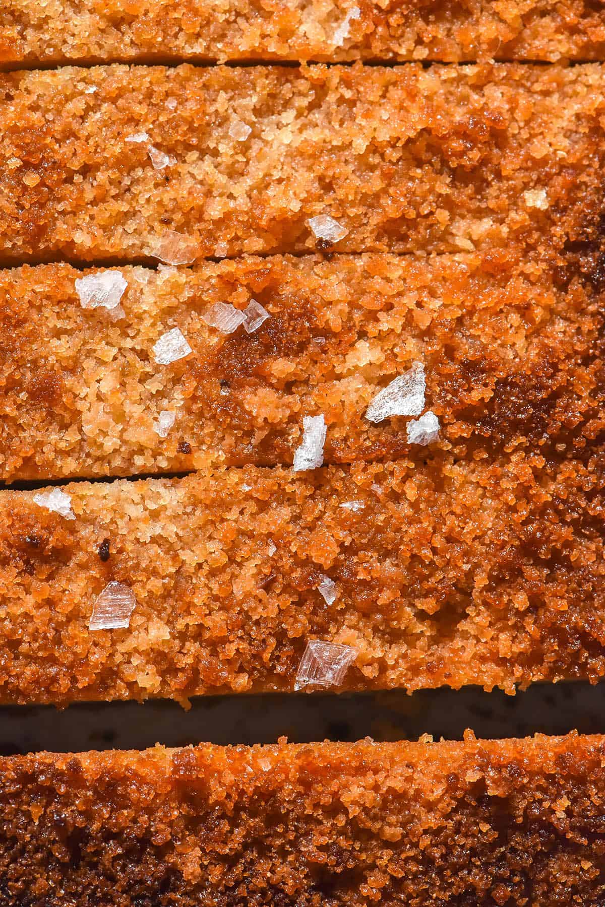 An aerial macro image of a gluten free vegan schnitzel topped with sea salt flakes. The schnitzel has been sliced, revealing the white speckled ceramic plate underneath. 