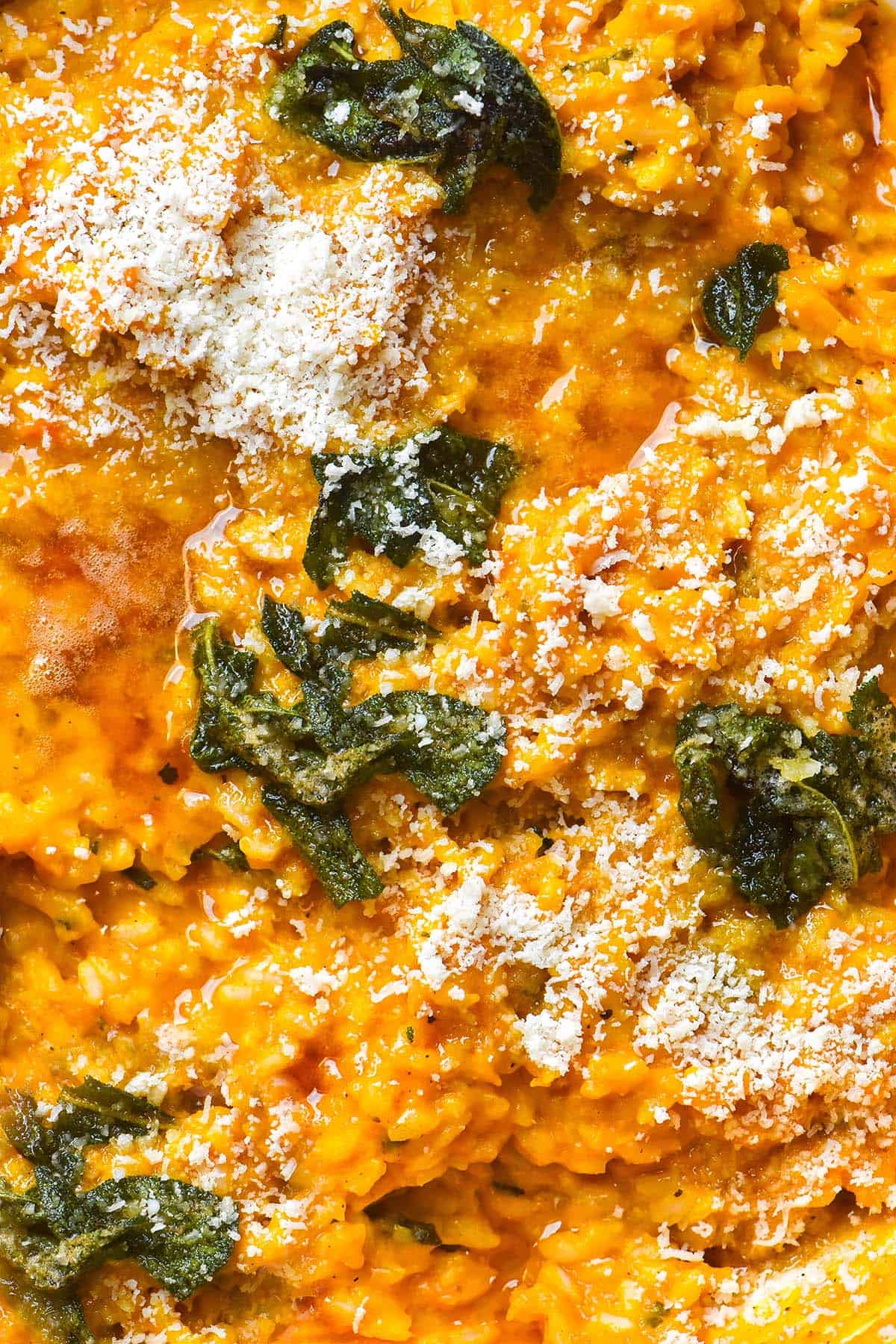 A close up macro image of pumpkin risotto topped with crispy sage leaves, brown butter and parmesan 