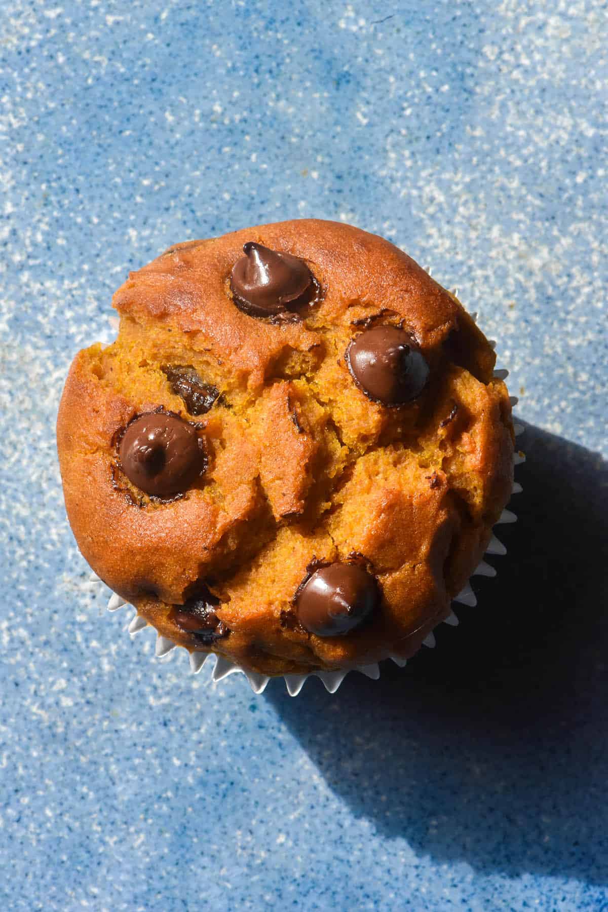 A brightly lit aerial image of a gluten free pumpkin choc chip muffin on a sky blue ceramic plate