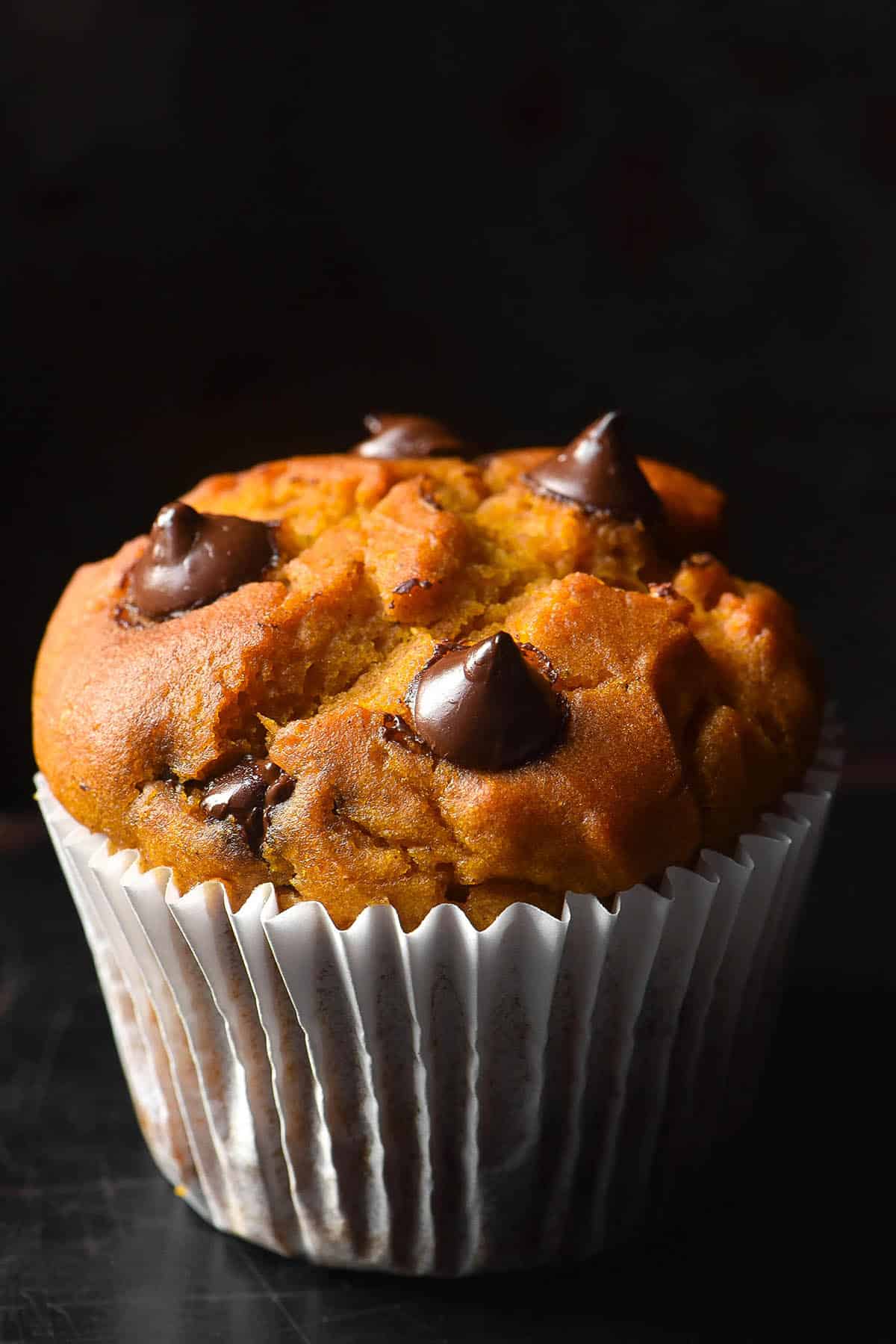 A moody close up macro image of a gluten free pumpkin muffin in a white muffin liner studded with dark chocolate chips. 